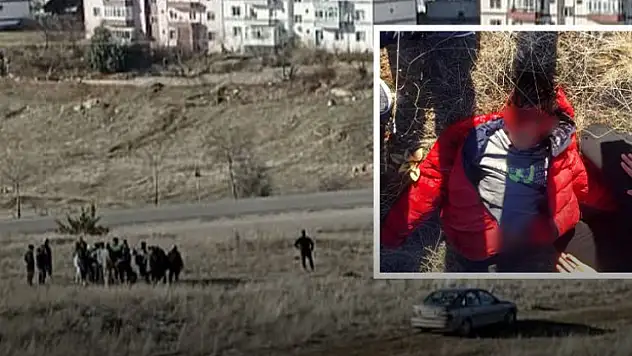 Ankara'da Başı Boş Köpek Dehşeti