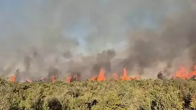 Balıkesir'de orman yangını