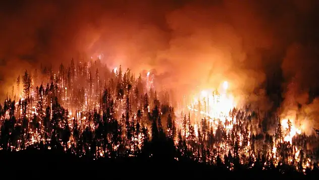 Bilecik ve İzmir illerimizde 'Genel Hayata Etkili Afet Bölgesi' ilan edildi