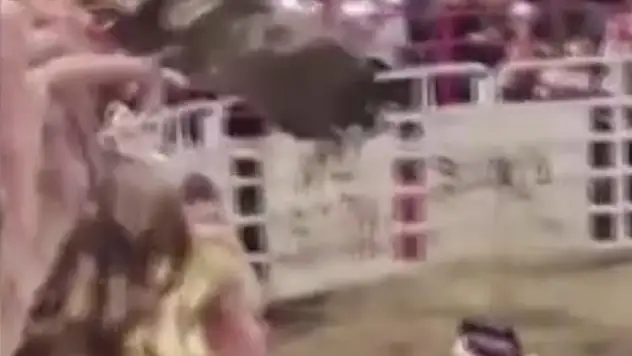 Boğa Seyircilerin Arasına Daldı! 4 Yaralı