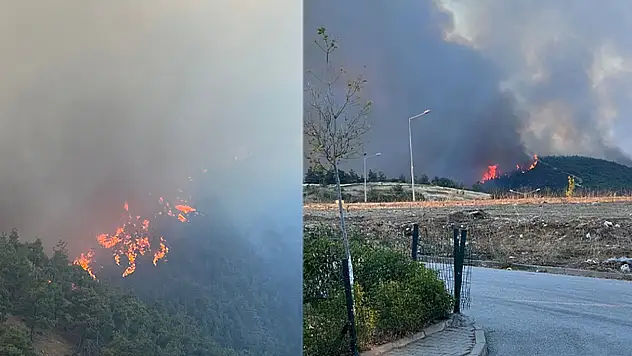 Bursa'nın Ciğerleri Yanıyor