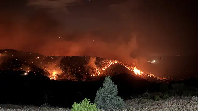 Bursa, Uşak, Karabük, Kahramanmaraş, Elazığ ve Mersin'de alevlerle mücadele sürüyor!