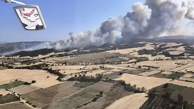 Çanakkale'de orman yangını çıktı
