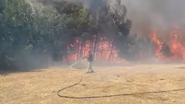 Çanakkale'de orman yangını yerleşim yerlerine sıçradı!