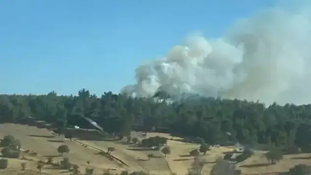 Çanakkale'de orman yangını