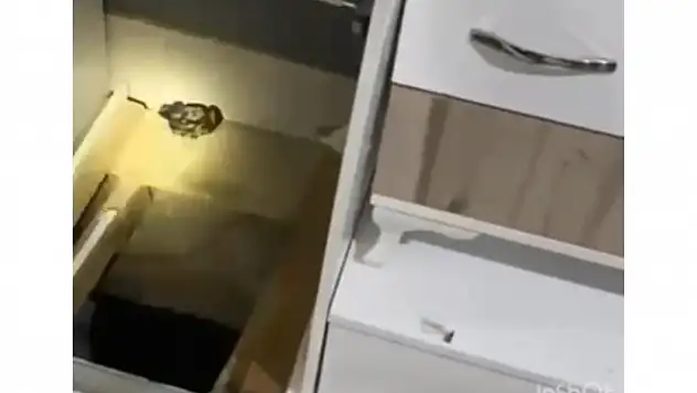 Cezaevi Kaçkının Evine Kazdığı Tünel Akıllar Durgunluk Verdi