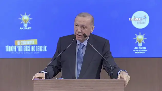 Cumhurbaşkanı Erdoğan'dan Özlem Çerçioğlu Açıklaması