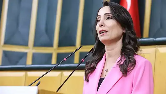 DEM Parti'li Hatimoğulları Yeni Sürecin Çözüm Adresi Meclis'tir