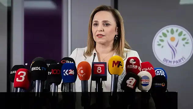 DEM Parti PKK'nın silah bırakacağı yeri ve zamanı açıkladı