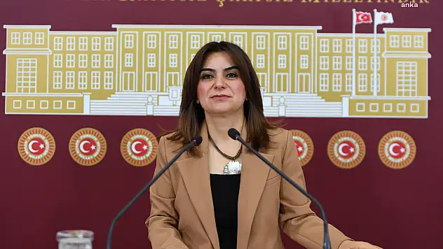 DEM Partili Koçyiğit, 11'inci Yargı Paketini kabul etmeyeceklerini açıkladı