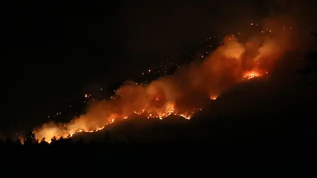 Denizli'deki orman yangını 2'nci gününde söndürüldü