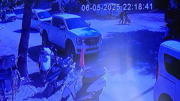 Evden kaçan köpek sokakta yürüyen kızlara saldırdı