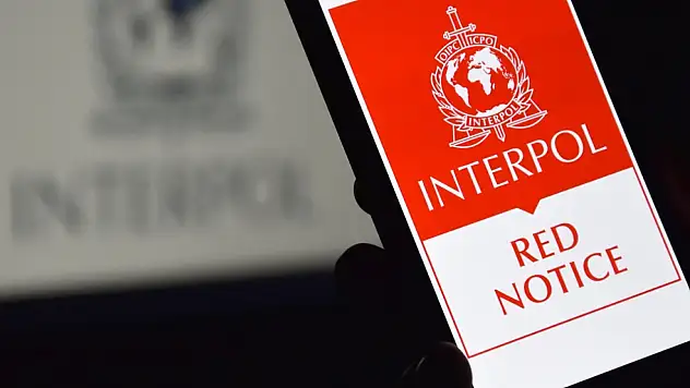 Gürcistan, Almanya, Avusturya ve Fransa'da yakalanan 12 suçlu Türkiye'ye getirildi