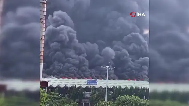 Havaalanında yangın: Uçuşlar askıya alındı