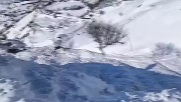 Hayvanlarını otlatan çoban çığ altında kaldı