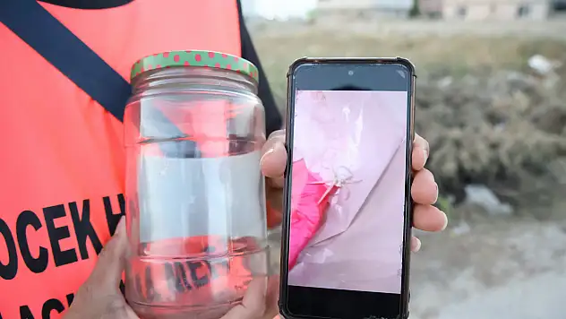 İnsan Yüzlü Örümcek Kavanozda Koruma Altında!