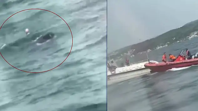 İstanbul Boğazı'nda can pazarı vapurdan çocuk düştü