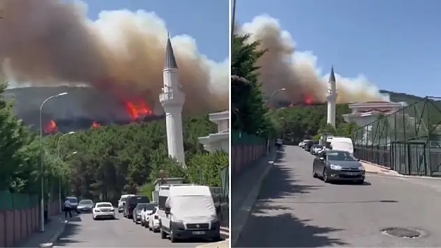 İstanbul'da Yangın Paniği! Aydos Ormanı'nda Çıkan Yangın Yerleşim Yerlerine Ulaştı