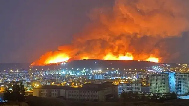İzmir Buca'da başlayıp Gaziemir'e ilerleyen yangın evlere 50 metre kala söndürüldü