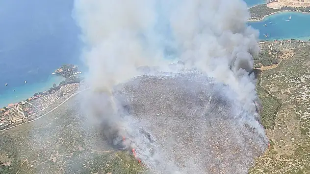 İzmir'de orman yangını! Müdahale sürüyor