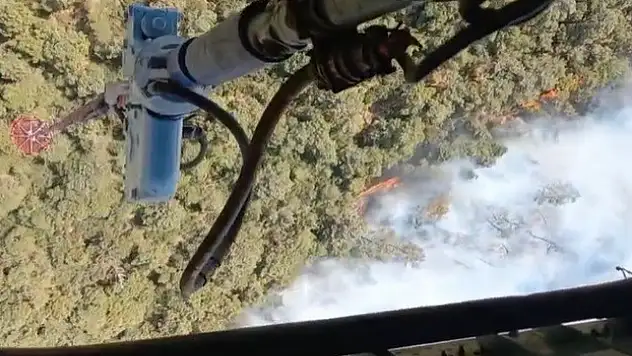 İzmir Foça'da orman yangınına müdahale sürüyor! Ekip sayısı arttırıldı