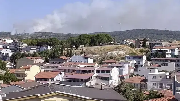 İzmir Urla'da orman yangını: Müdahale sürüyor!