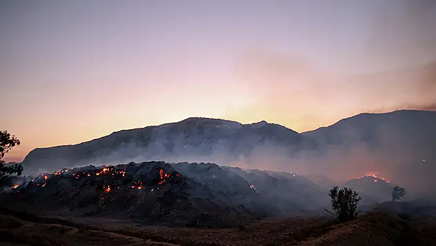 Kocaeli, Bursa, Bartın, Sivas ve Adıyaman'da orman yangını: Rüzgarın etkisiyle alevler yayılıyor!