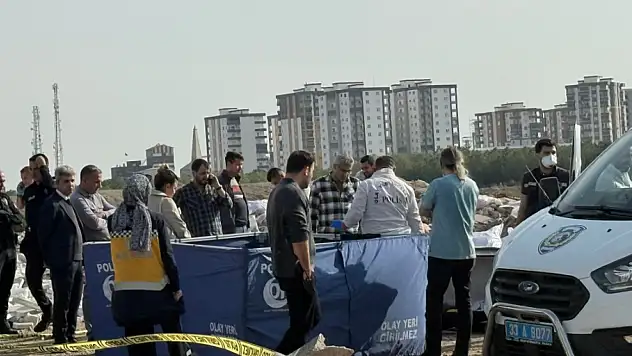 Korkunç cinayet öldürüp tuzlayıp halıya sarıp çekyatla atmışlar