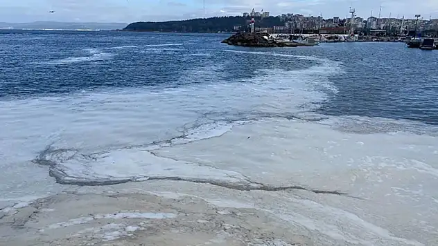 Marmara Denizi'nin  Müsilaj Tehlikesi Sürüyor