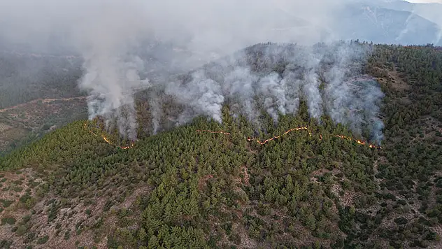 Mersin'in Silifke ve Hatay'ın Hassa'da orman yangınlarına müdahale sürüyor