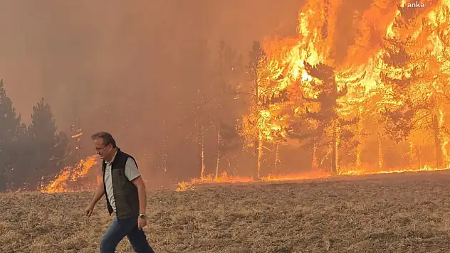 Mudurnu'daki orman yangını sonrası 1 kişi tutuklandı