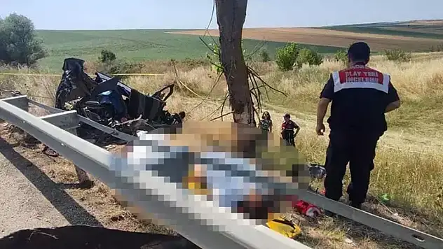 Otomobil, ağaca çarptı 2'si çocuk 5 ölü, 1 yaralı