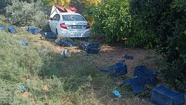 Otomobil bahçeye daldı: Hasat yapan işçilerden 1'i öldü, 3'ü yaralandı