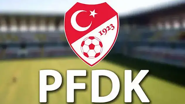 PFDK'dan Oosterwolde'ye 1 maç men, Lemina ve Duran'a para cezası
