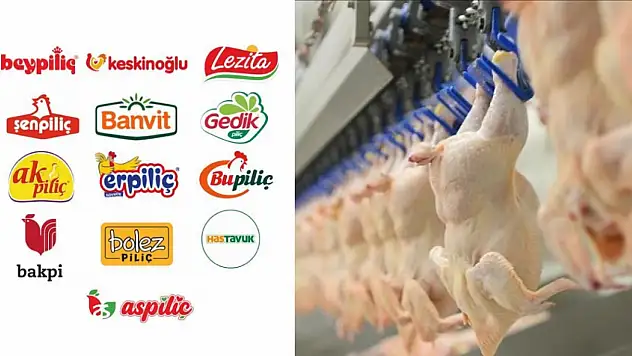 Rekabet Kurulu Şenpiliç, Banvit ve Erpiliç dahil 13 firmaya milyarlarca lira ceza kesti