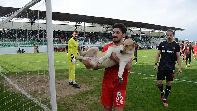 Sahaya Giren Davetsiz Misafir Maçı Duraklattı