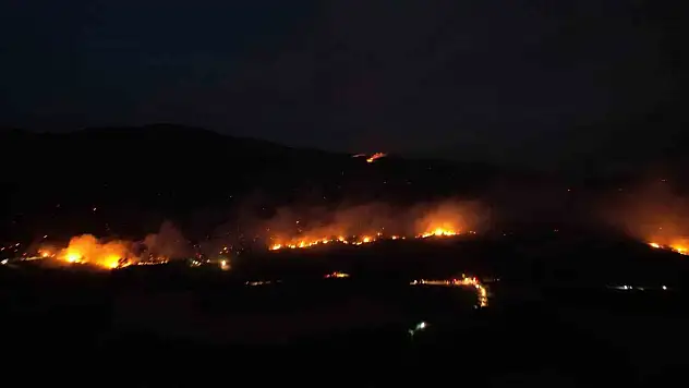 Sakarya-Bilecik sınırında alevler yeniden yükseldi