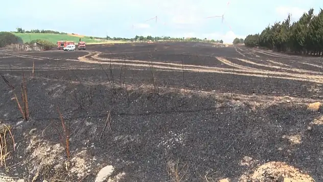 Sigara izmariti 30 dönüm buğdayı küle çevirdi