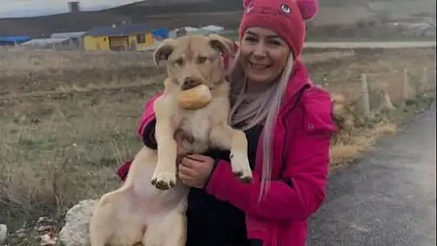 Sokak Hayvanları Üzerinden Haksız Kazanç Operasyonu! Buket Özgünlü ve 9 Kişi Gözaltına Alındı