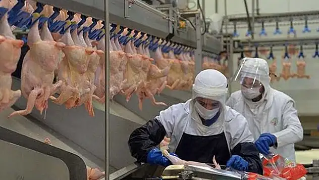 Suriye, Türkiye'den tavuk ithalatını yasakladı!