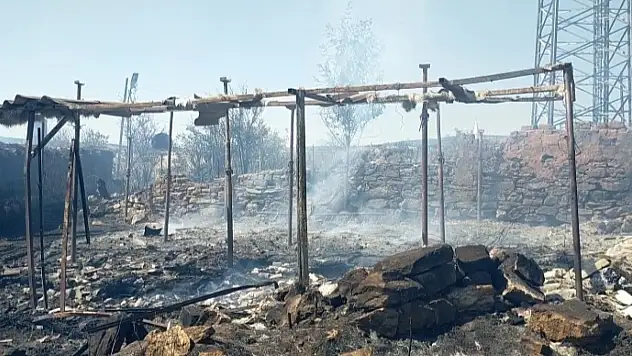 Tarla yangını evlere sıçradı: 3 ev küle döndü