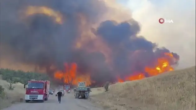 Tekirdağ'da 150 hektarlık alan kül oldu