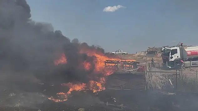 Tekirdağ'da besi çiftliğinde yangın