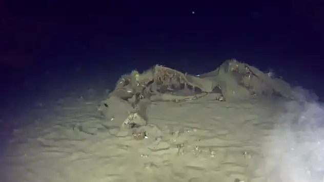 THY'nin 50 yıl önce düşen uçağının enkazından yeni parçalar bulundu