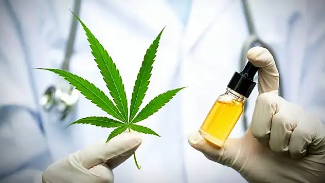 Tıbbi kenevirin eczanelerde satılmasına ilişkin kanun teklifi Meclis'ten geçti