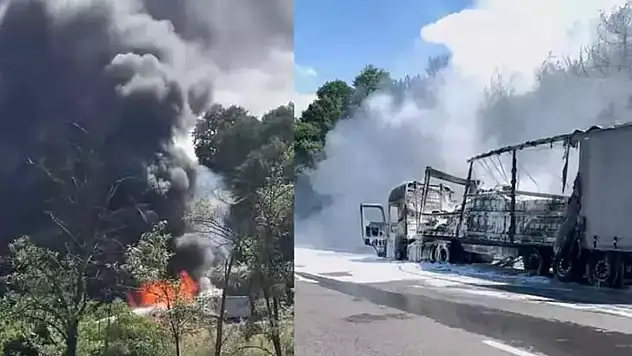 TIR'da Çıkan Yangın Ormana Sıçradı 10 Dönüm Alan Zarar Gördü