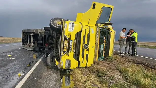 Tır devrildi, anguslar kayboldu