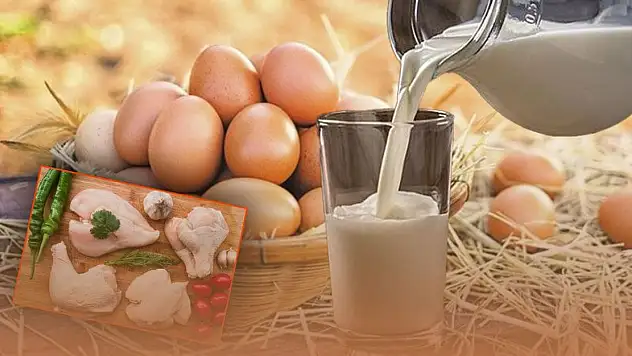 TÜİK: Yumurta, tavuk eti ve içme sütü üretimi arttı