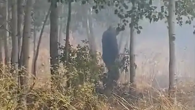 Türkiye-İran sınırında yangın!