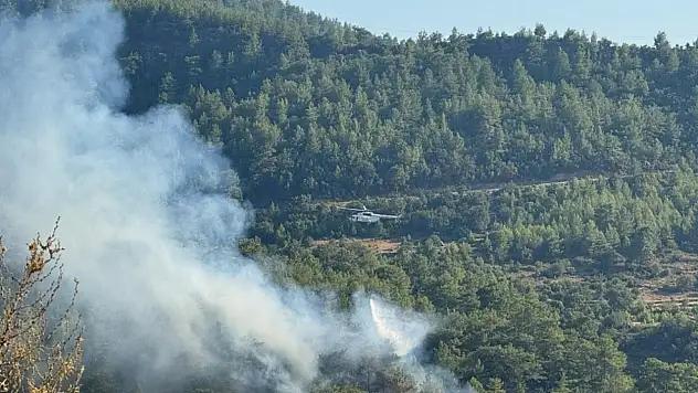 Türkiye yangınlarla mücadele ediyor: İzmir, Antalya ve Çanakkale alevlere teslim!